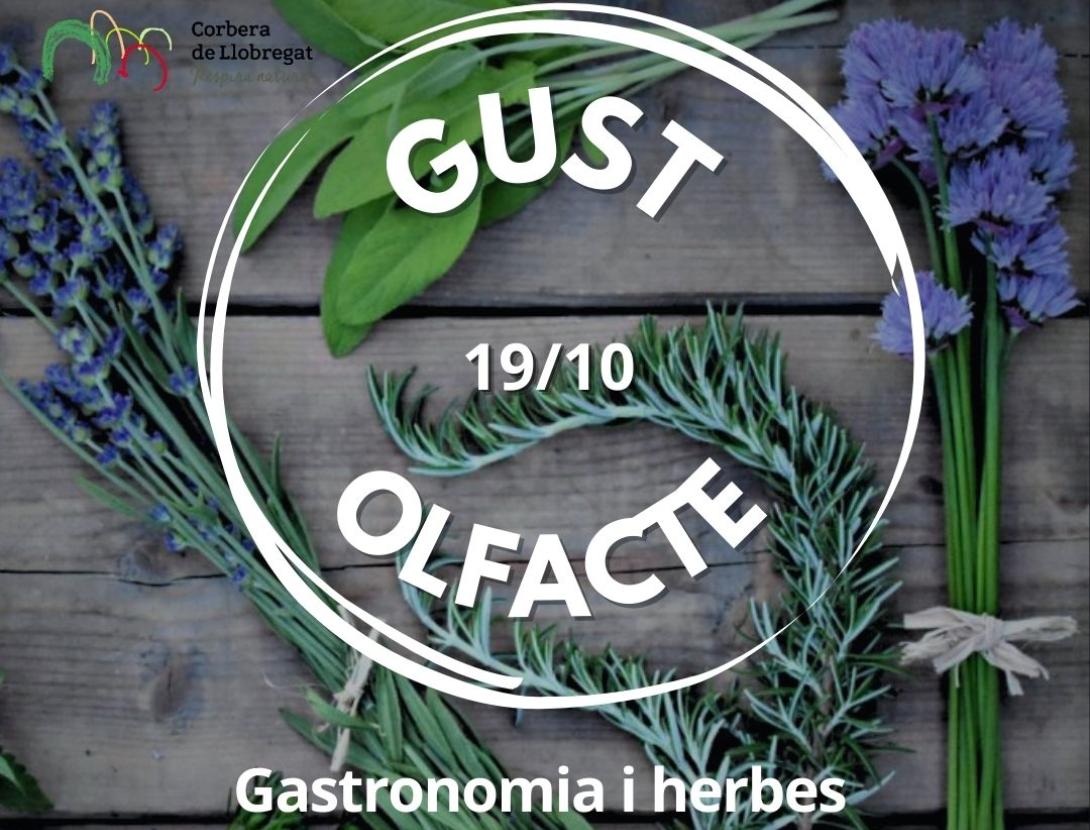 Gastronomia i herbes aromàtiques a Corbera! Amb vermut floral a l'hotel Can Fisa