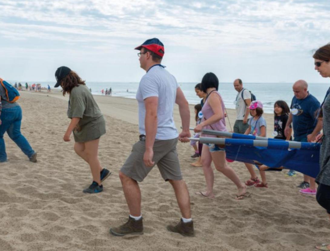 El dofí Ulisses necessita ajuda!