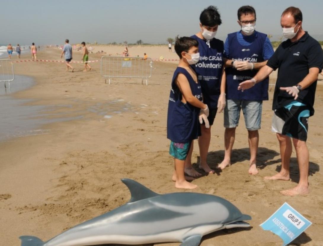 Salvem el dofí Ulisses!