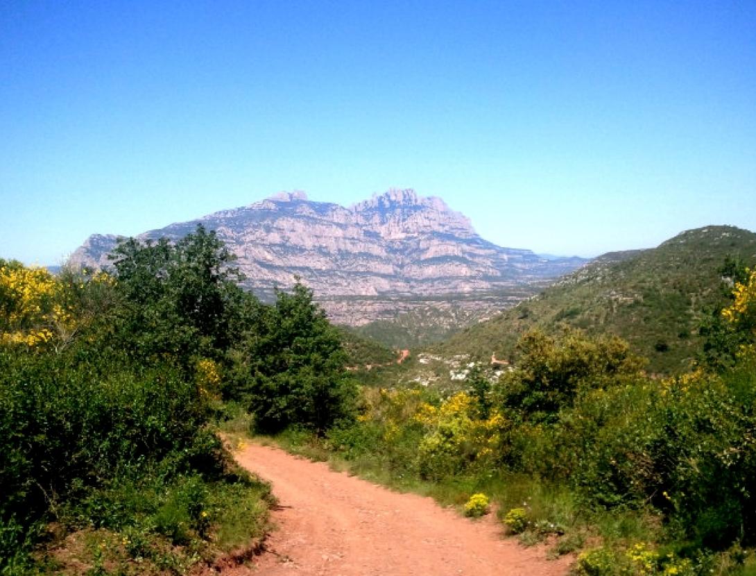 2013-06-03 11.35.32millorada.jpg