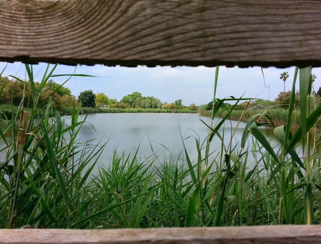 un paisatge diferent