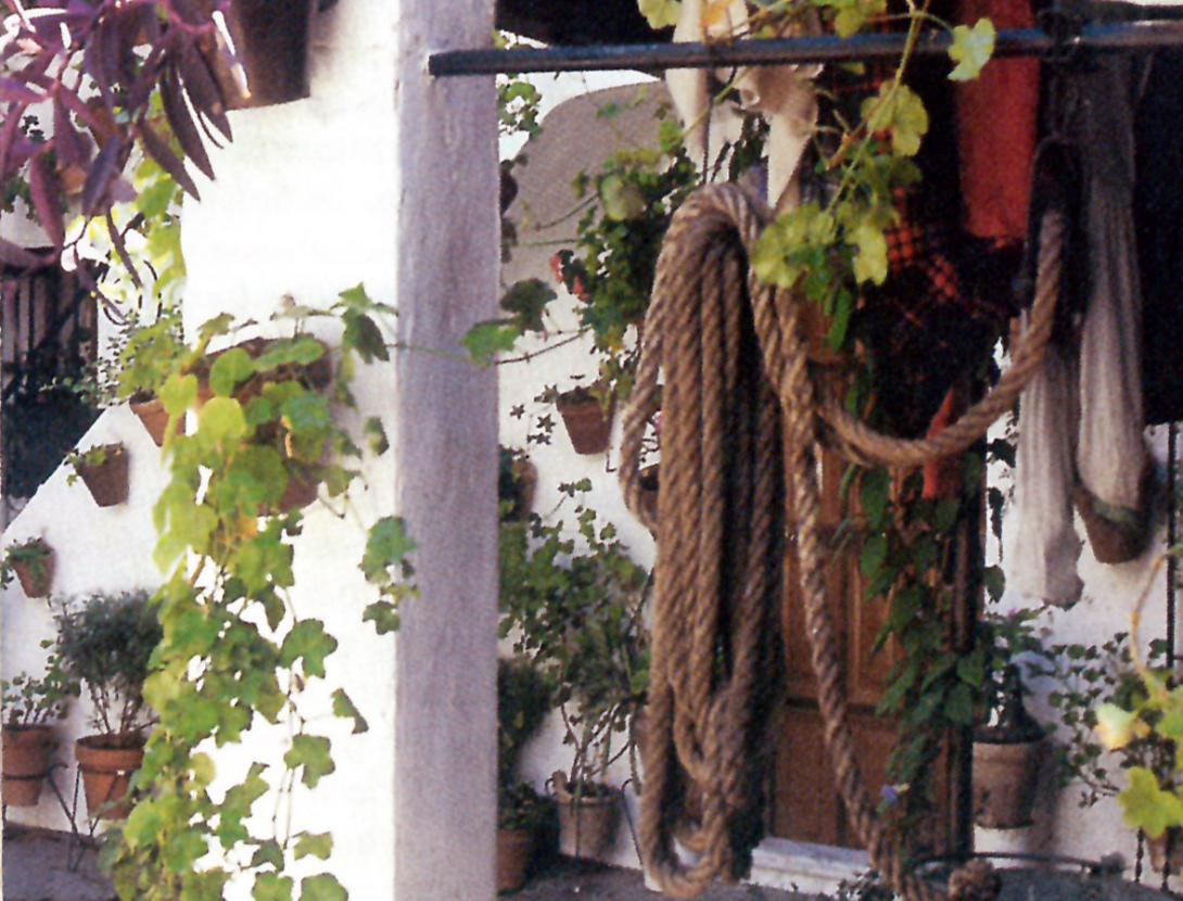 Celebración del Día de Andalucía en Cornellà