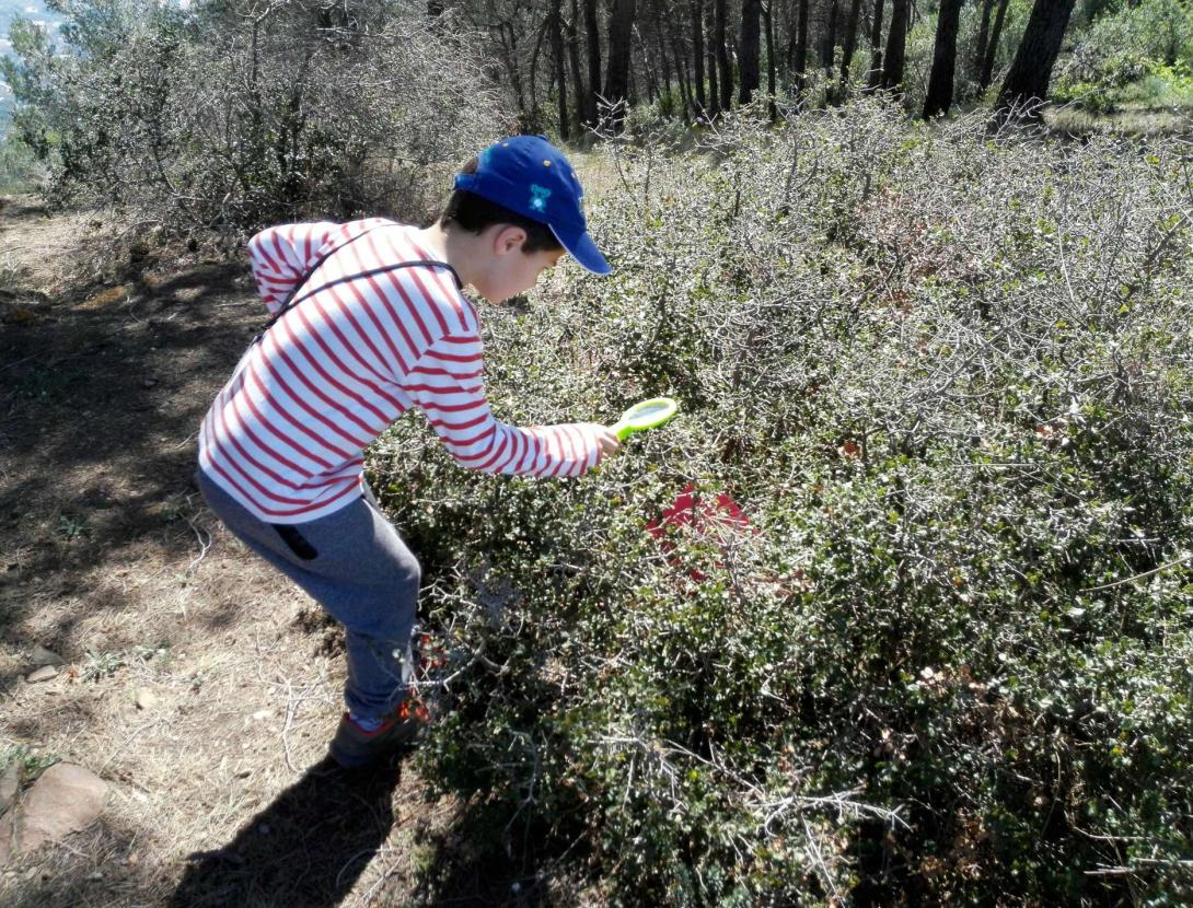 2017-03-19 12.01.21 1.jpg