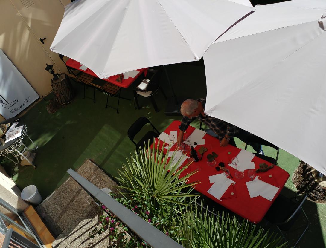 Pintura con Vino_Marta Arañó