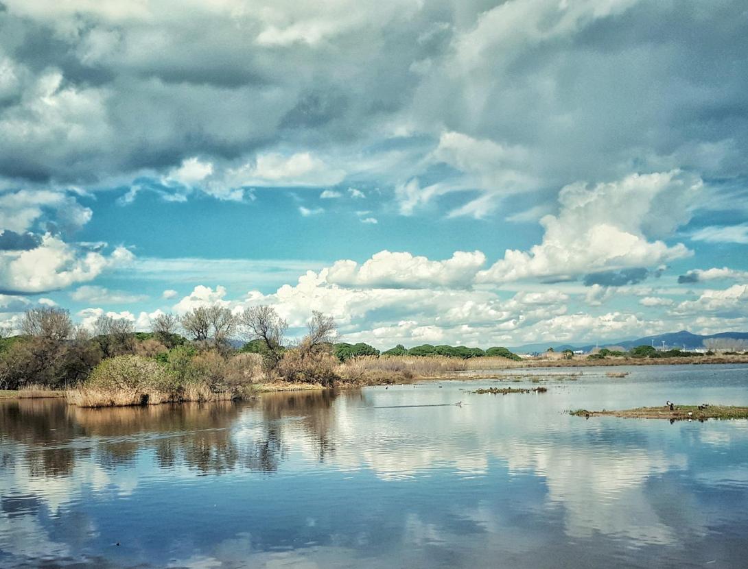 CONNECTA AMB LA NATURA AL RITME DELS PEDALS Ruta familiar en bicicleta i carruatge de cavall pel Delta de Viladecans
