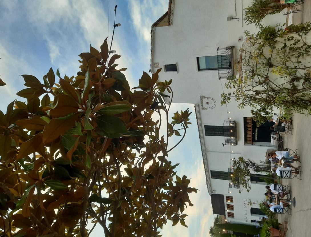 Sopar i posta del sol al celler