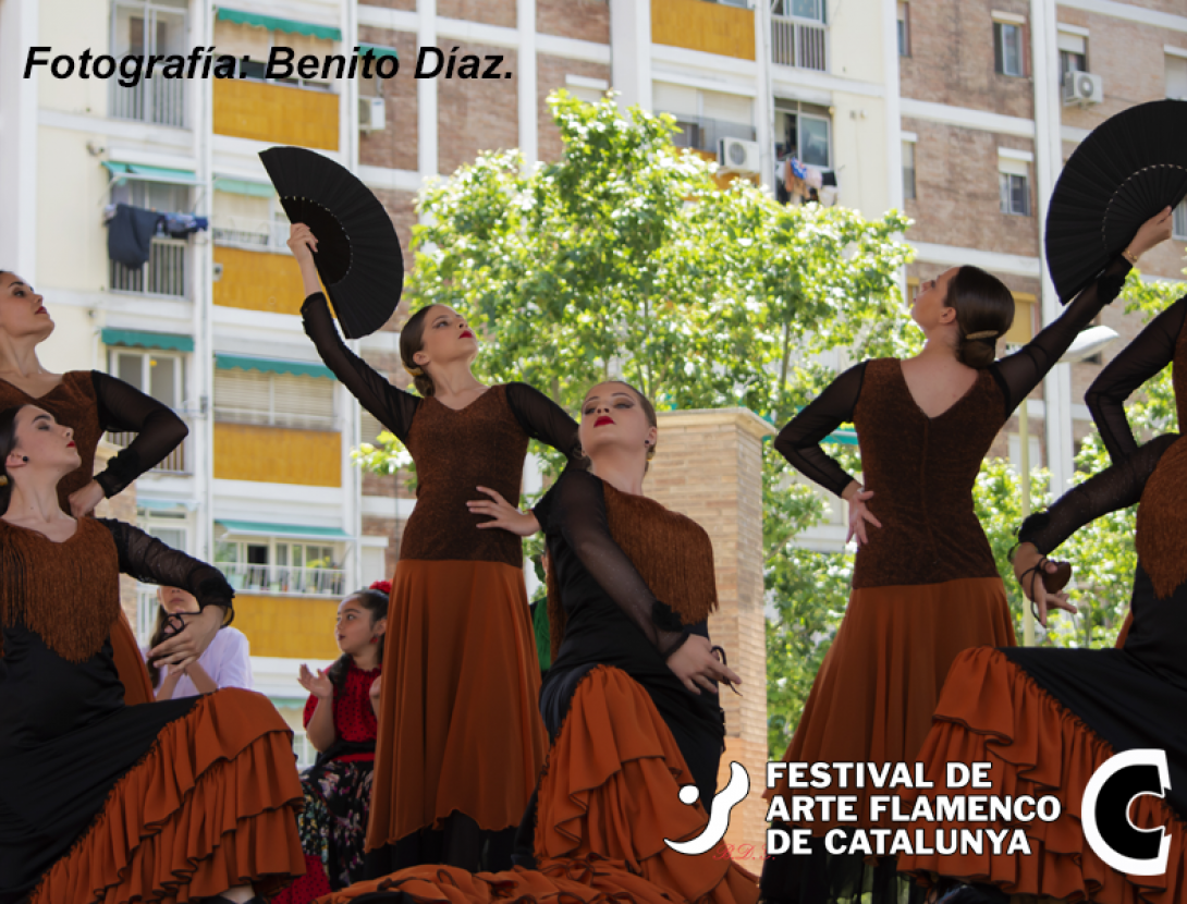 Las Academias Bailan