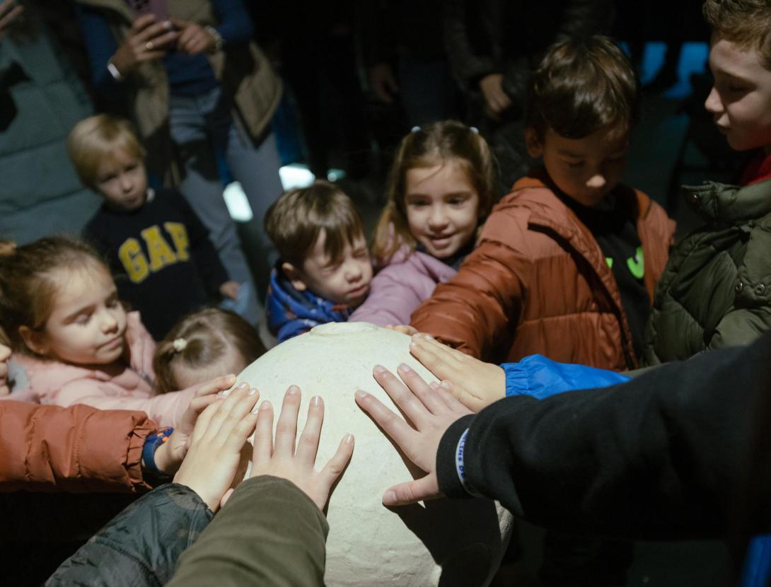 Fàbrica dels Somnis