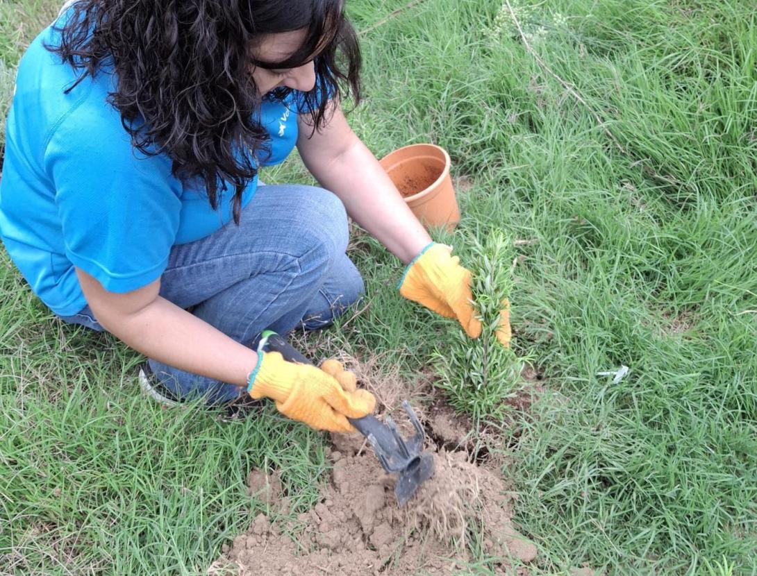 Recuperació de la biodiversitat del riu Llobregat
