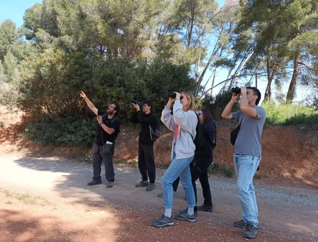 Visita guiada a l’Entorn Forestal de Sant Boi: Els ocells