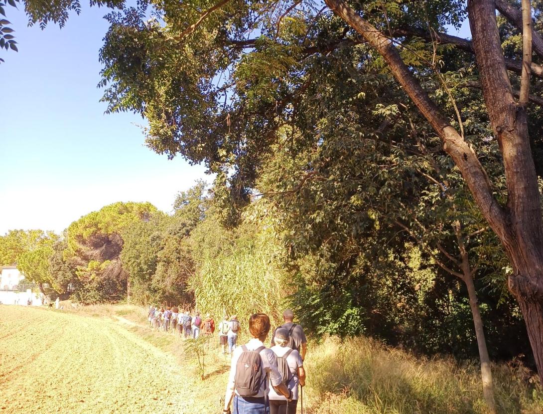 Marxa Nòrdica a Sant Feliu de Llobregat des de Vallvidriera
