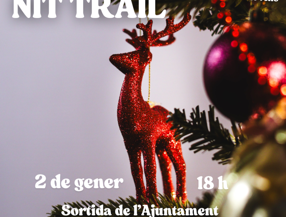 Cursa Nit Trail