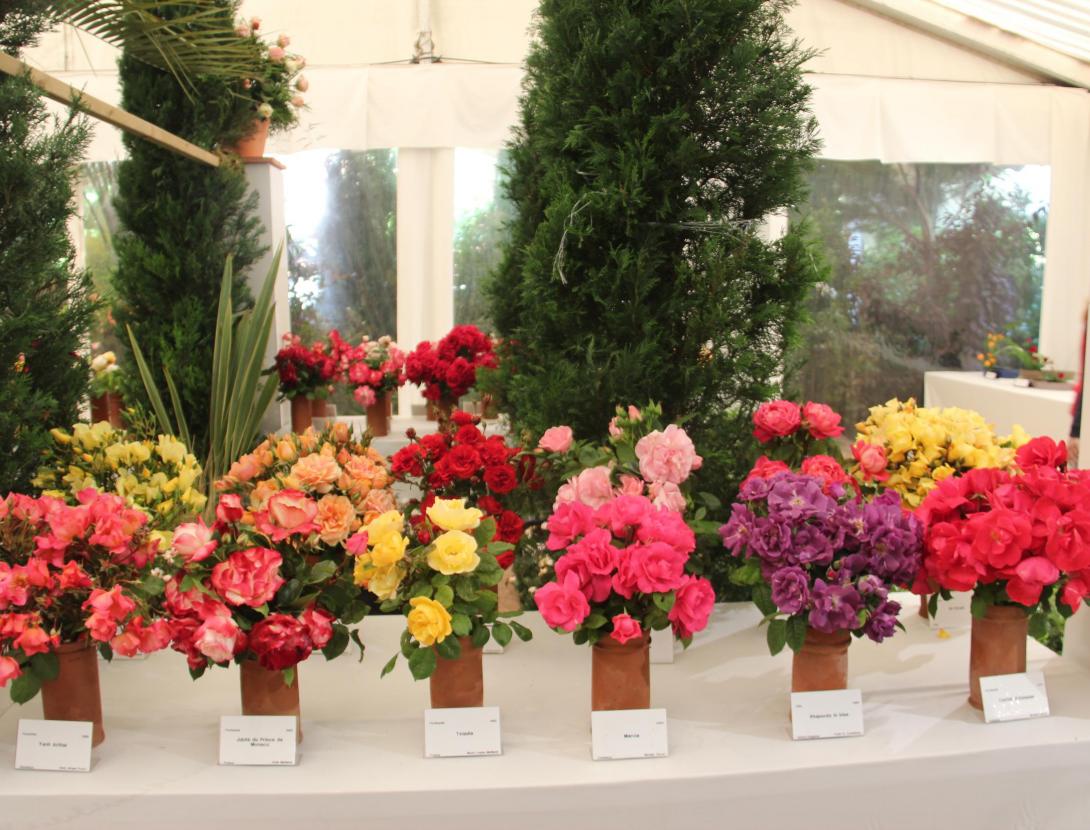 65a Exposició Nacional de Roses