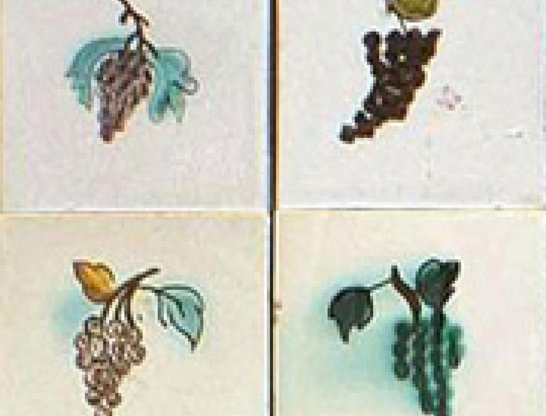 2El clima i el vi.jpg