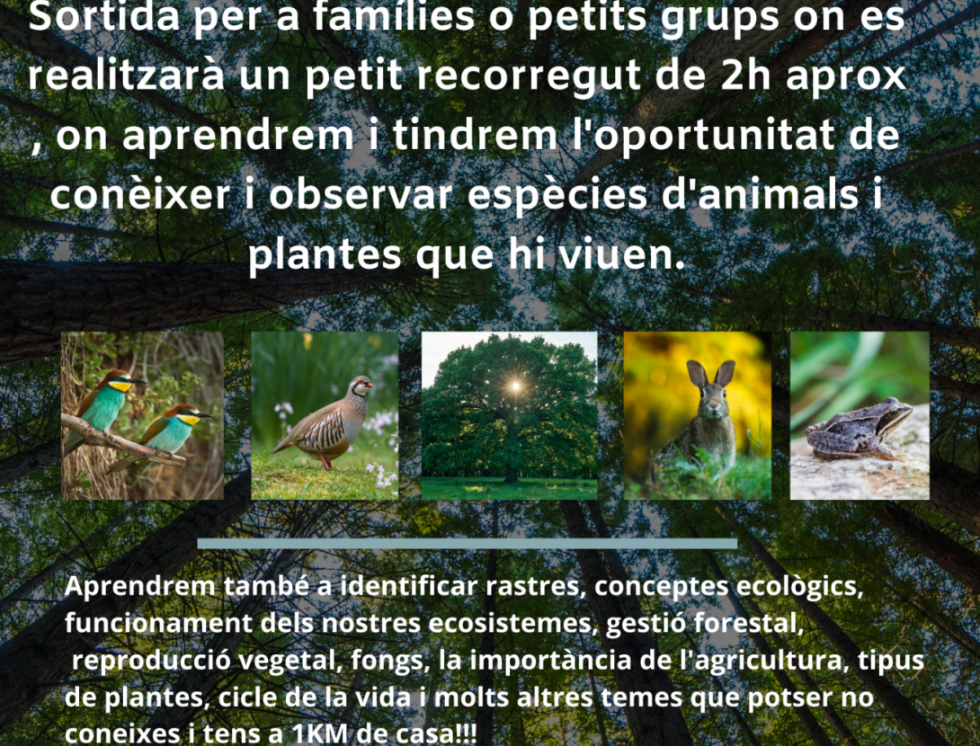 Què viu al nostre voltant?