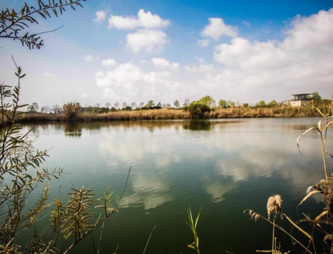 Espais Naturals del Riu - El Prat