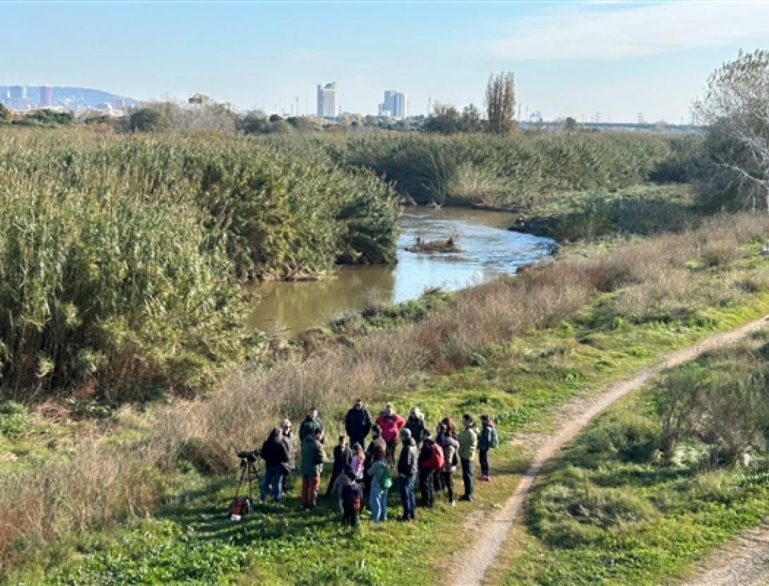 10a Festa del Riu a Cornellà de Llobregat
