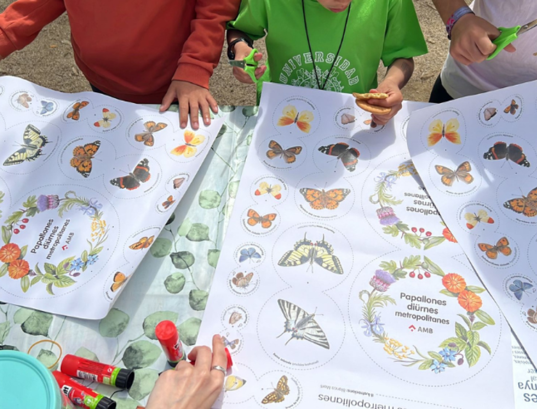 Jugatecambiental: El dia de les papallones