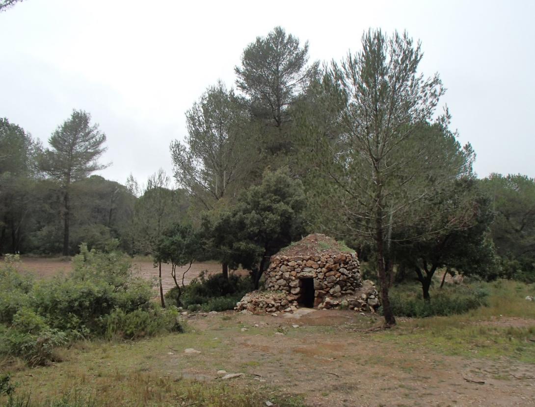 8B BARRACA VINYA PLA D'ARDENYA.jpg