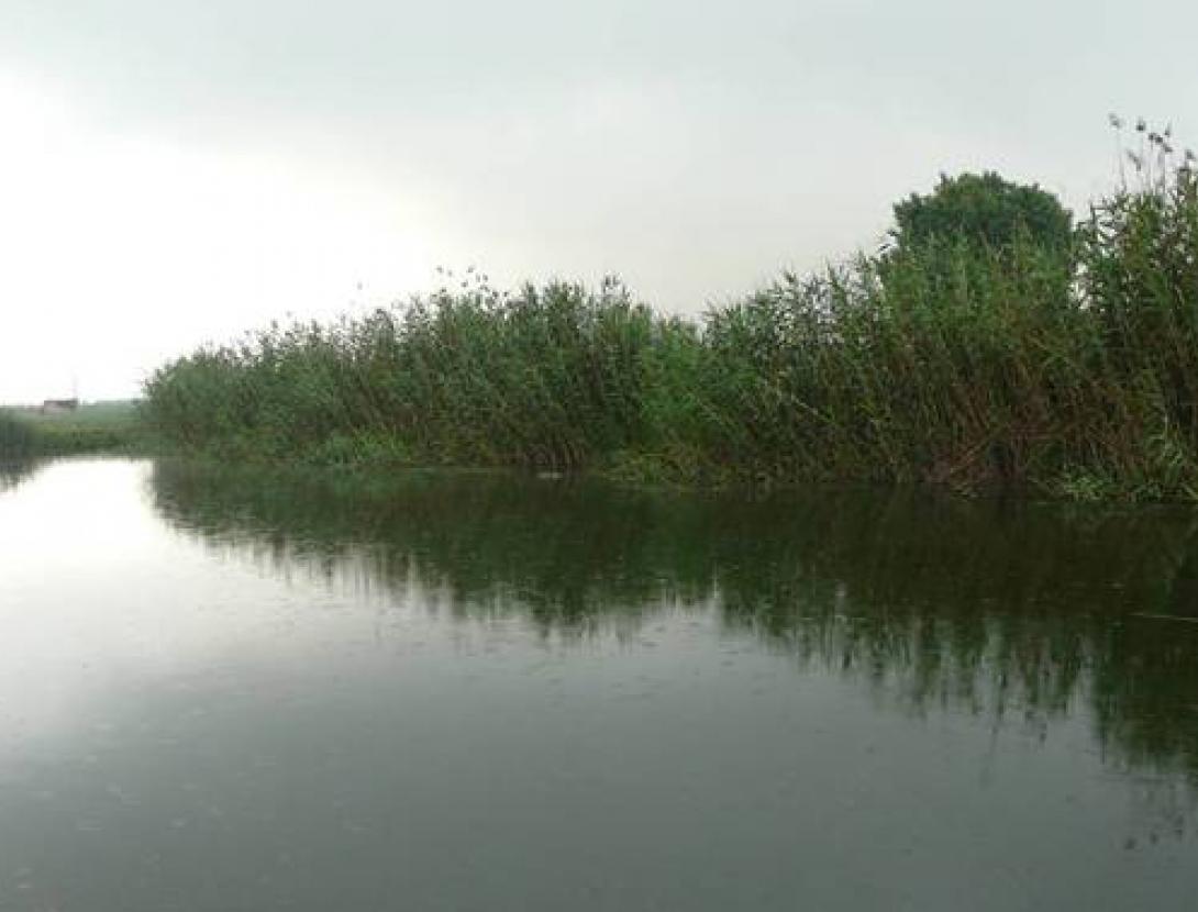 DIA DE LA MURTRA. JORNADA DE DESCOBERTA I PER A FAMÍLIES