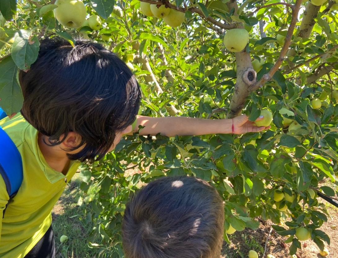 Benvinguts a pagès al Baix Llobregat!