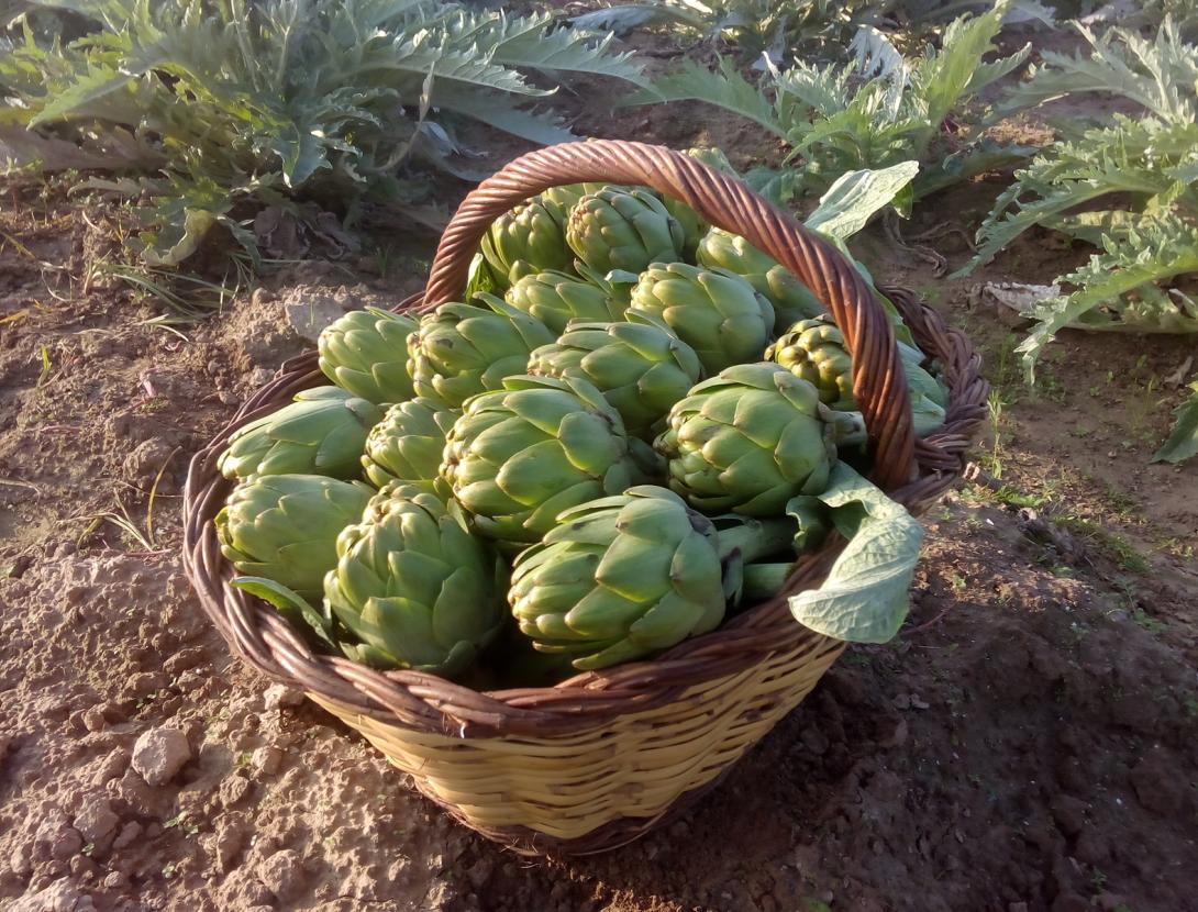 Benvinguts a pagès al Baix Llobregat!