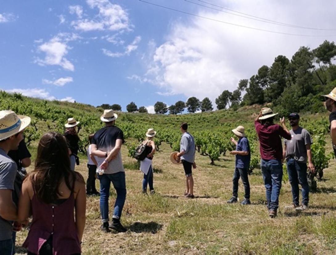 Benvinguts a pagès al Baix Llobregat!