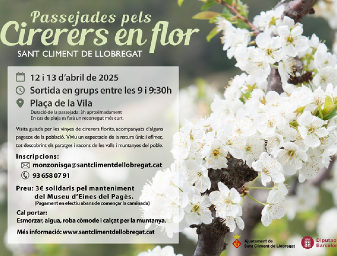 Passejades pels cirerers en flor