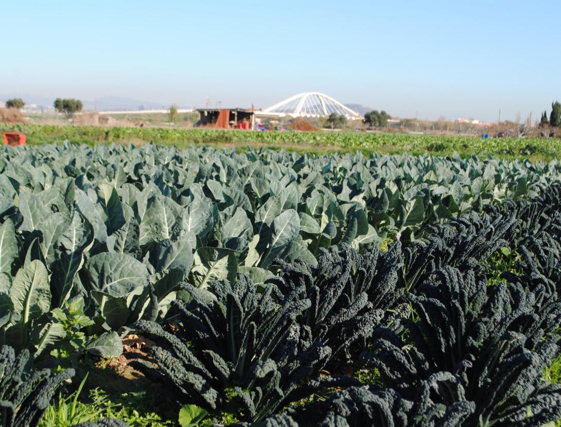 Benvinguts a Pagès 2025