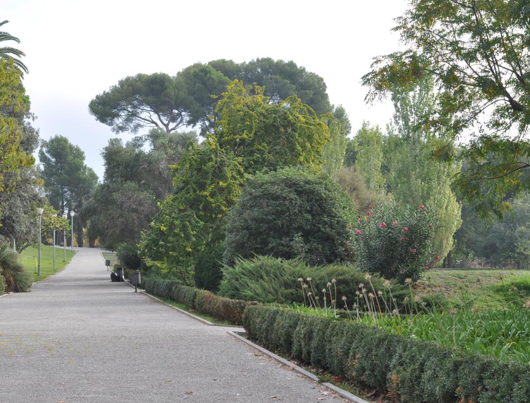 Itinerari guiat pel parc de Torreblanca