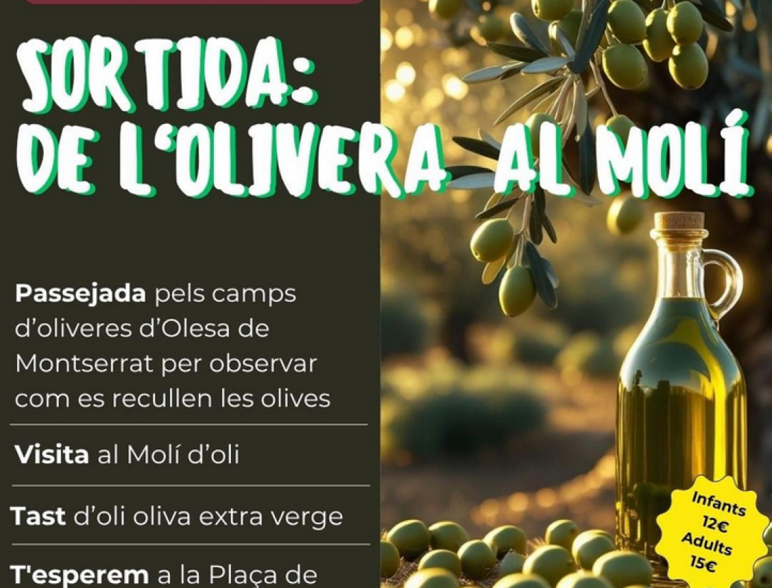 Sortida de l'Olivera al Molí