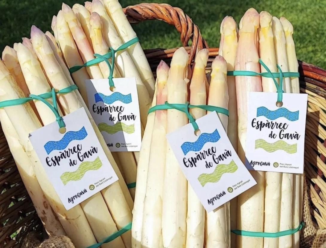 Fira d'Espàrrecs
