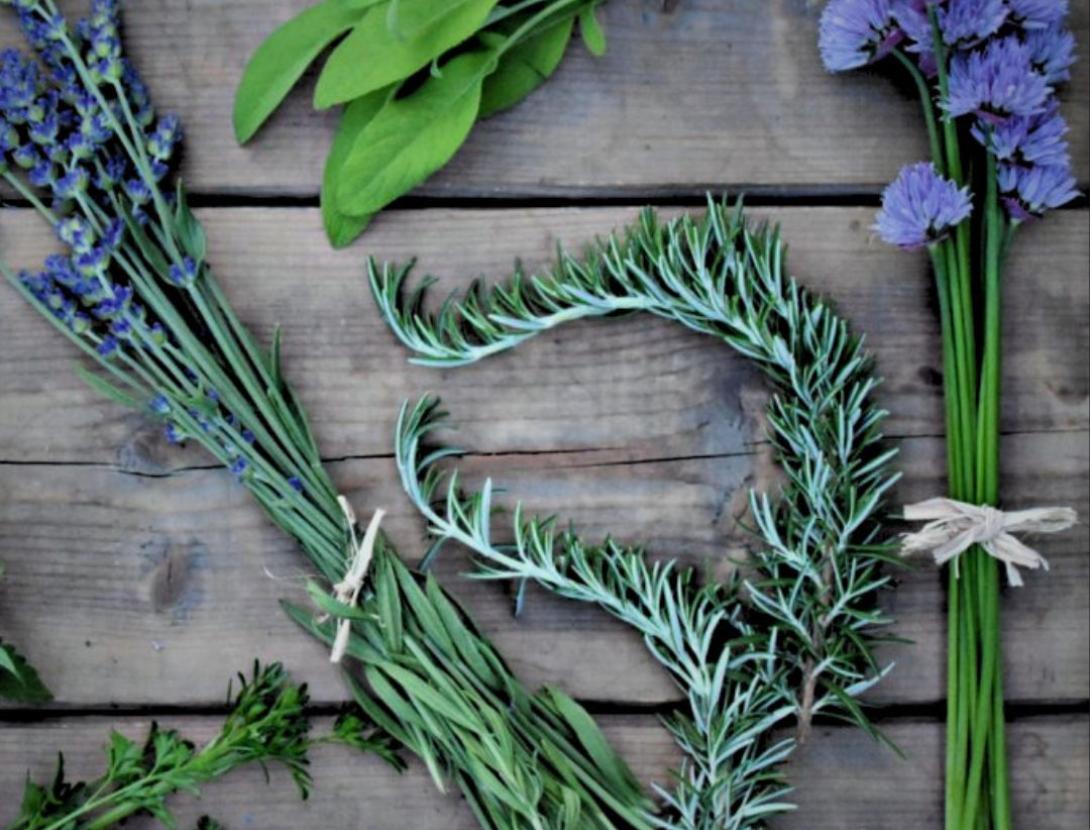Gastronomia i herbes aromàtiques a Corbera! Amb vermut floral a l'hotel Can Fisa