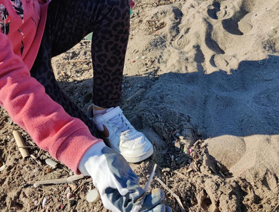 Jornada de neteja de platja del Prat