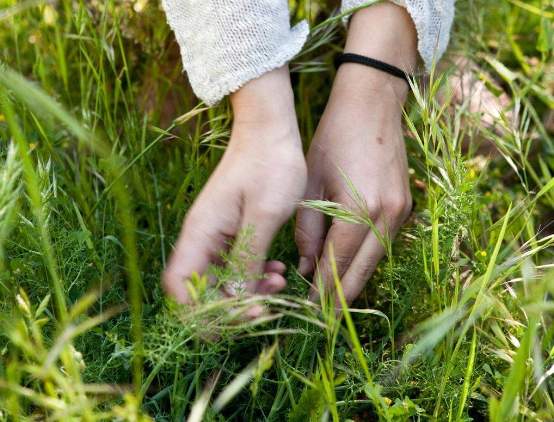 Gastronomia i herbes aromàtiques a Corbera! Amb vermut floral a l'hotel Can Fisa