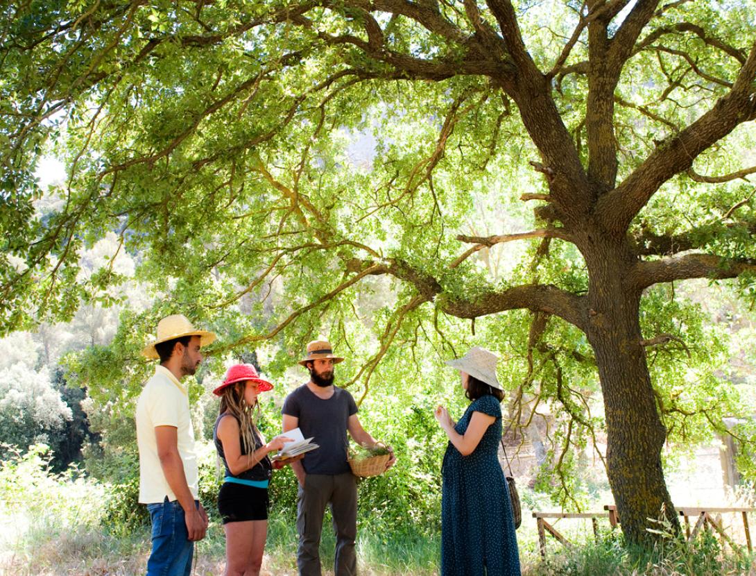 Gastronomia i herbes aromàtiques a Corbera! Amb vermut floral a l'hotel Can Fisa