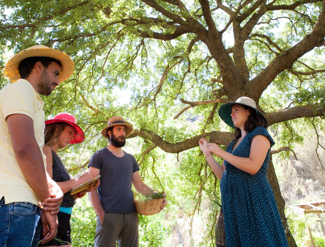 Gastronomia i herbes aromàtiques a Corbera! Amb vermut floral a l'hotel Can Fisa