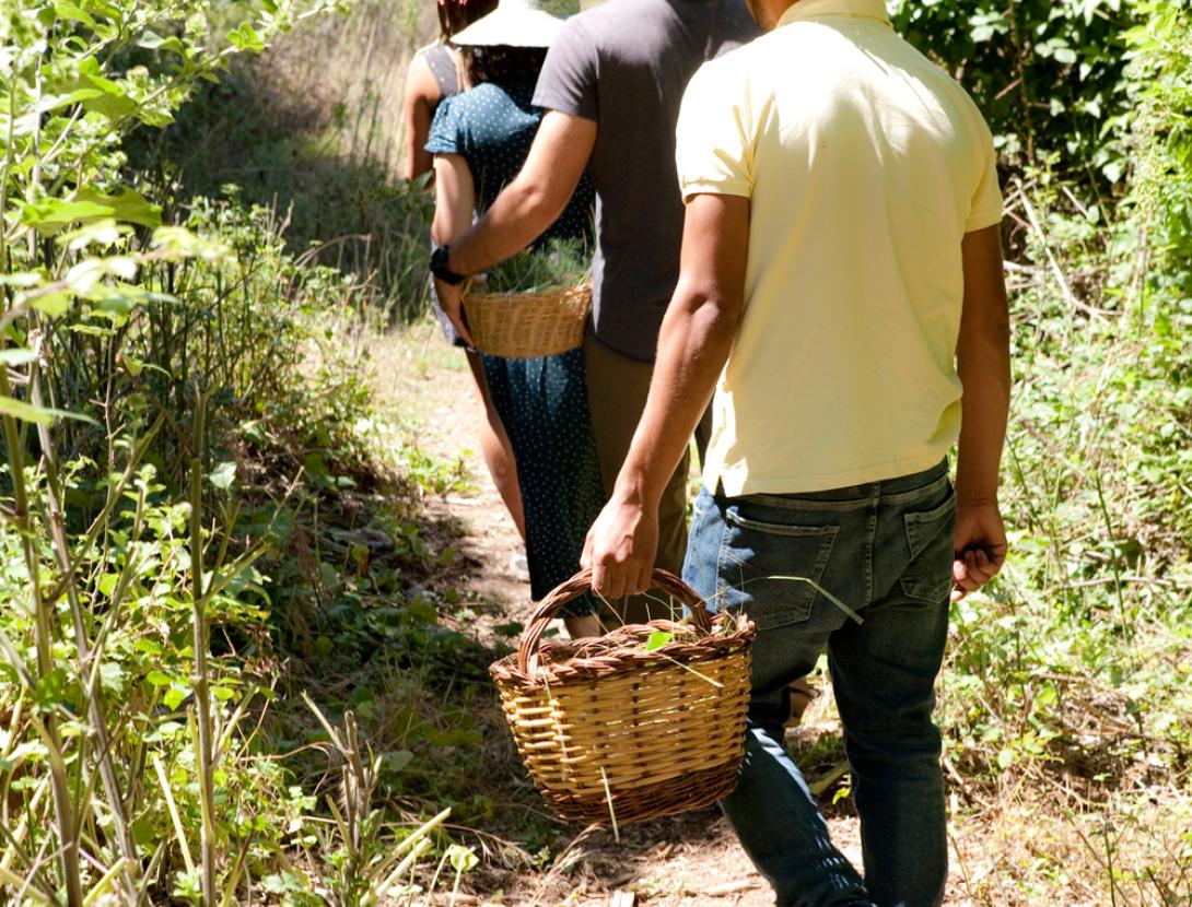 Gastronomia i herbes aromàtiques a Corbera! Amb vermut floral a l'hotel Can Fisa