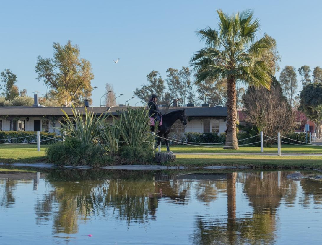 Octubre ECO-LOGIC al Restaurant Emilio Sánchez Academy