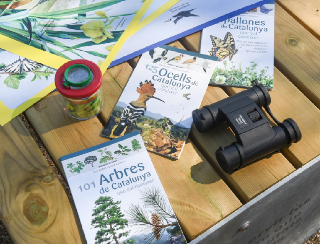 Jugatecambiental: Safari fotogràfic