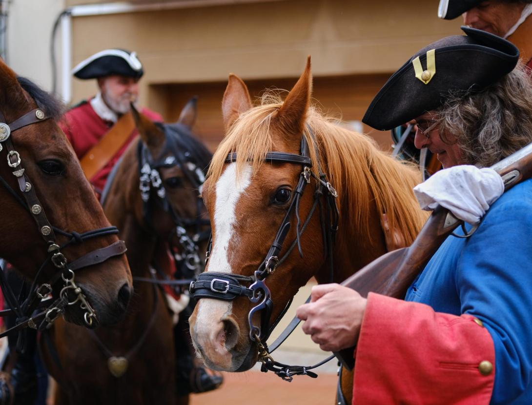 La Festa dels Miquelets