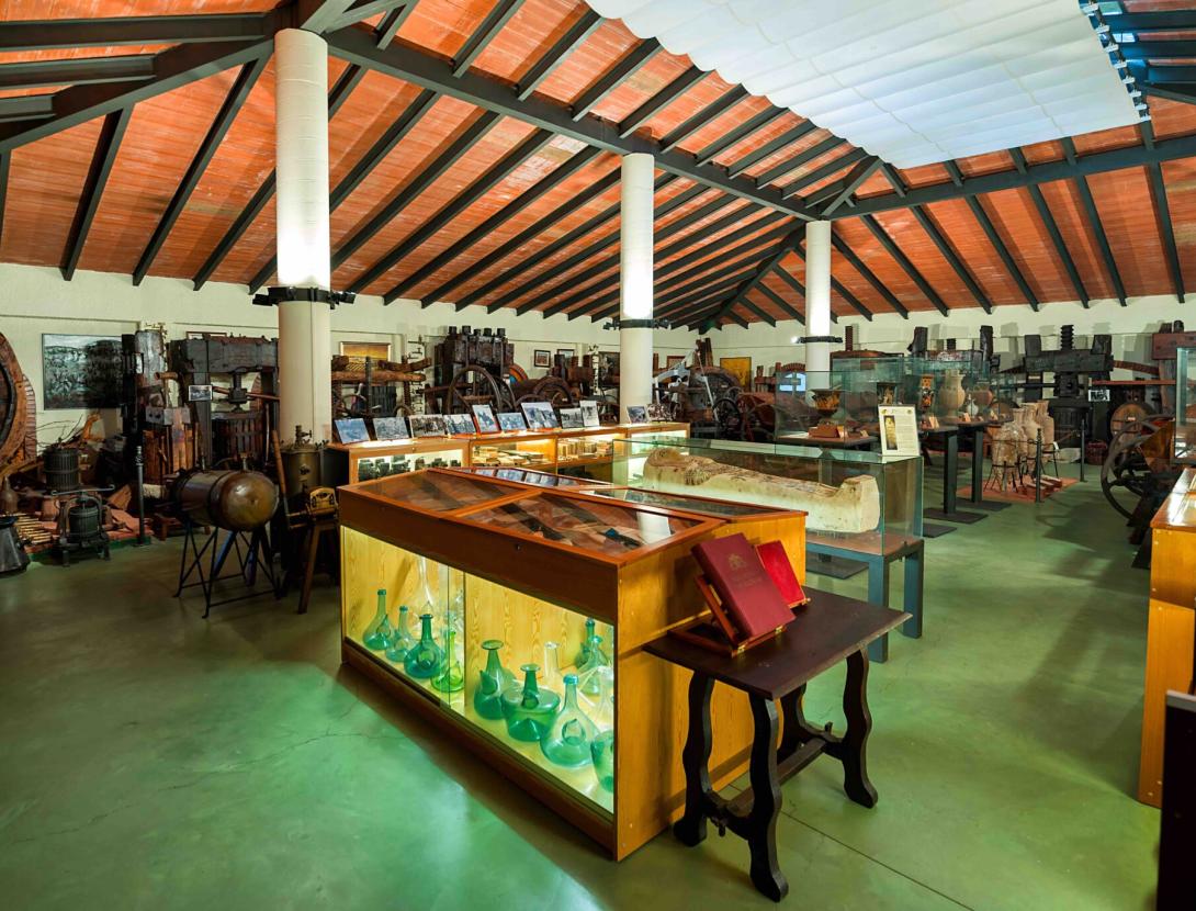 Descobreix i degusta els vins ecològics i vegans del Celler i Museu del Vi Ramon Canals