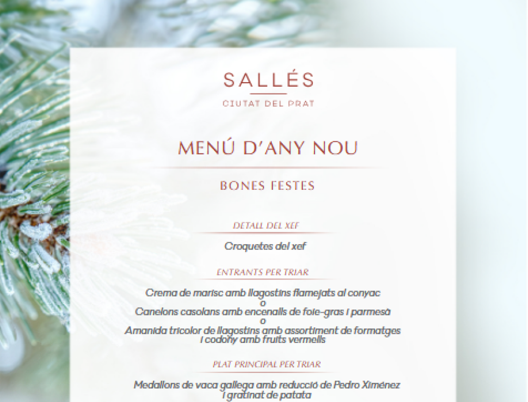 Dinars de Nadal amb els teus a l´Hotel Ciutat del Prat