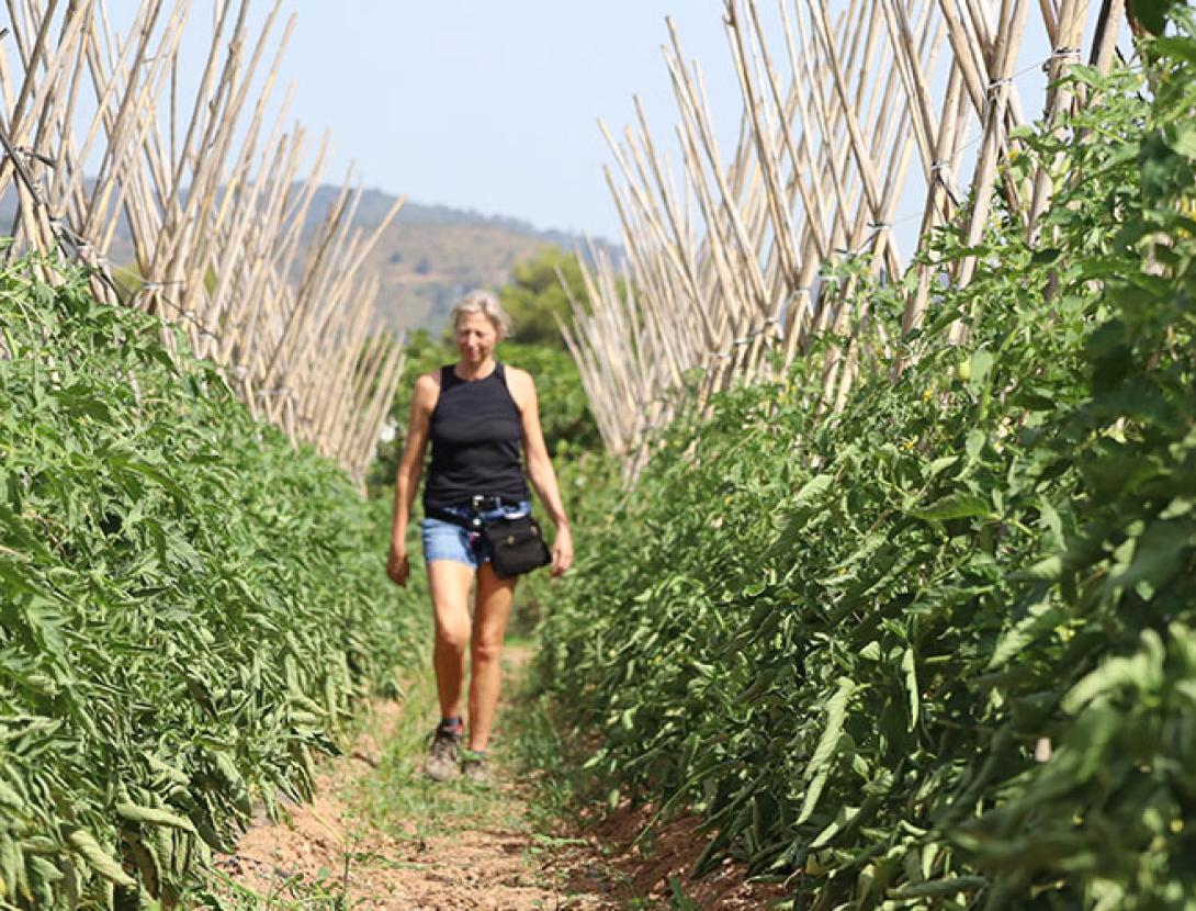 Benvinguts a Pagès 2025