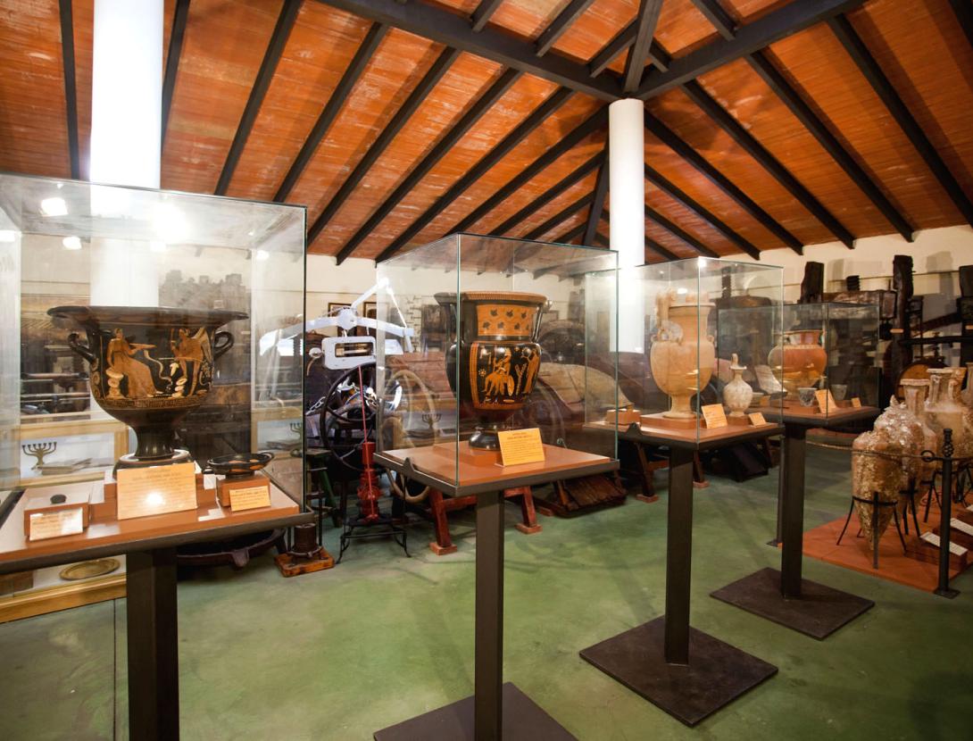 Descobreix i degusta els vins ecològics i vegans del Celler i Museu del Vi Ramon Canals