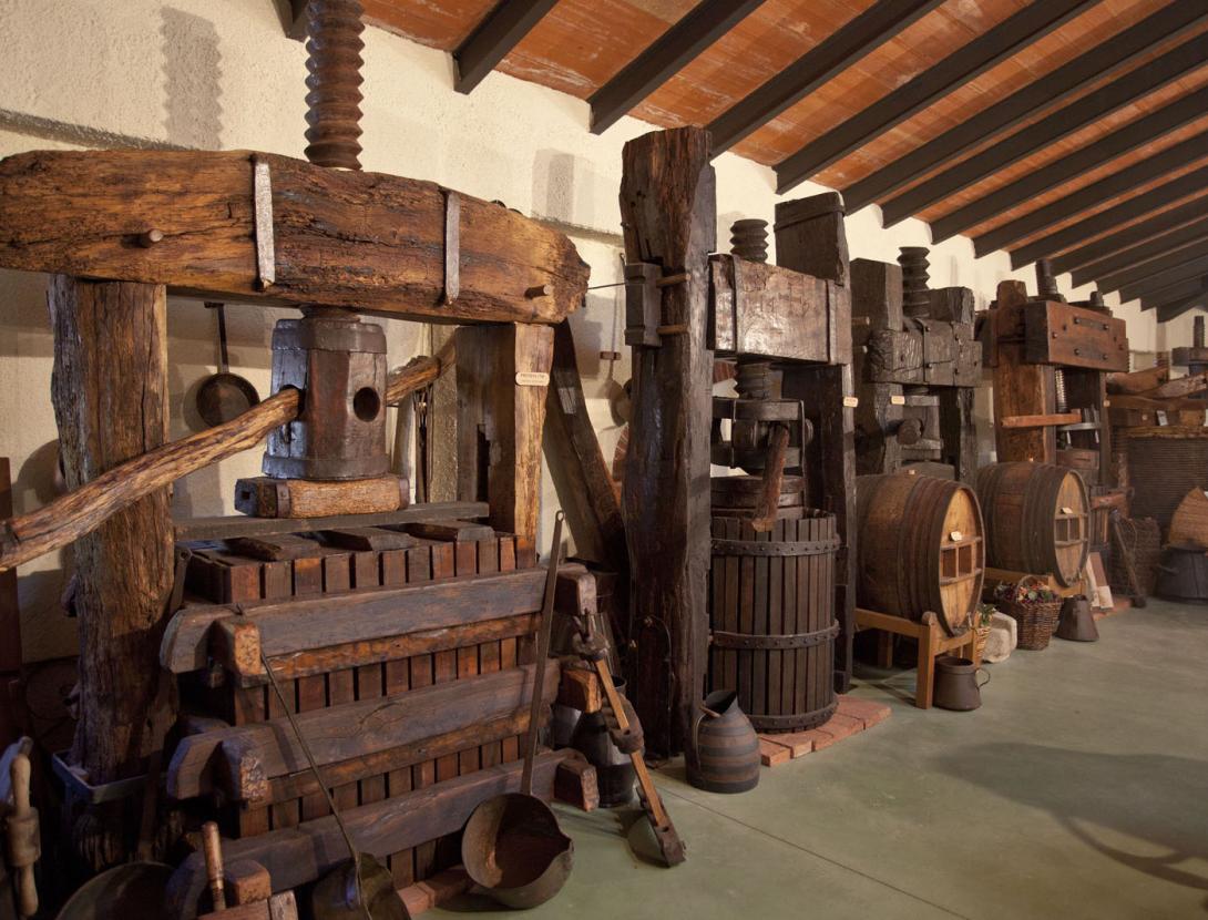 Descobreix i degusta els vins ecològics i vegans del Celler i Museu del Vi Ramon Canals