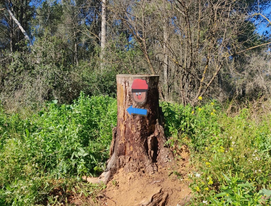 Tió de Torrelles. Ruta Can Roig