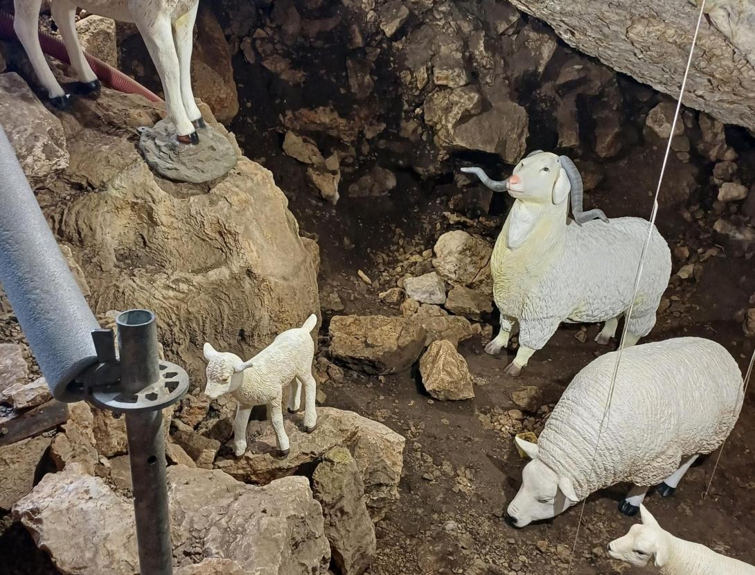 Per a què servia una cova a la prehistòria?