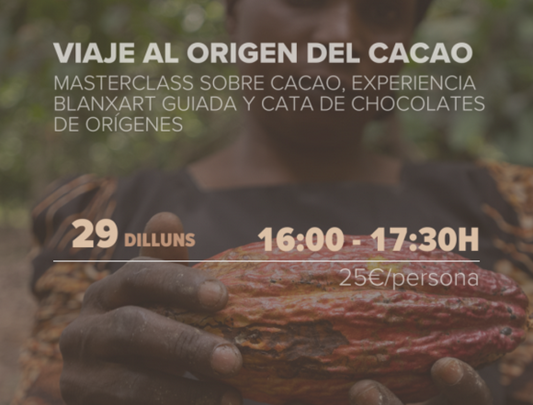 Taller ''Viatge a l'Origen''