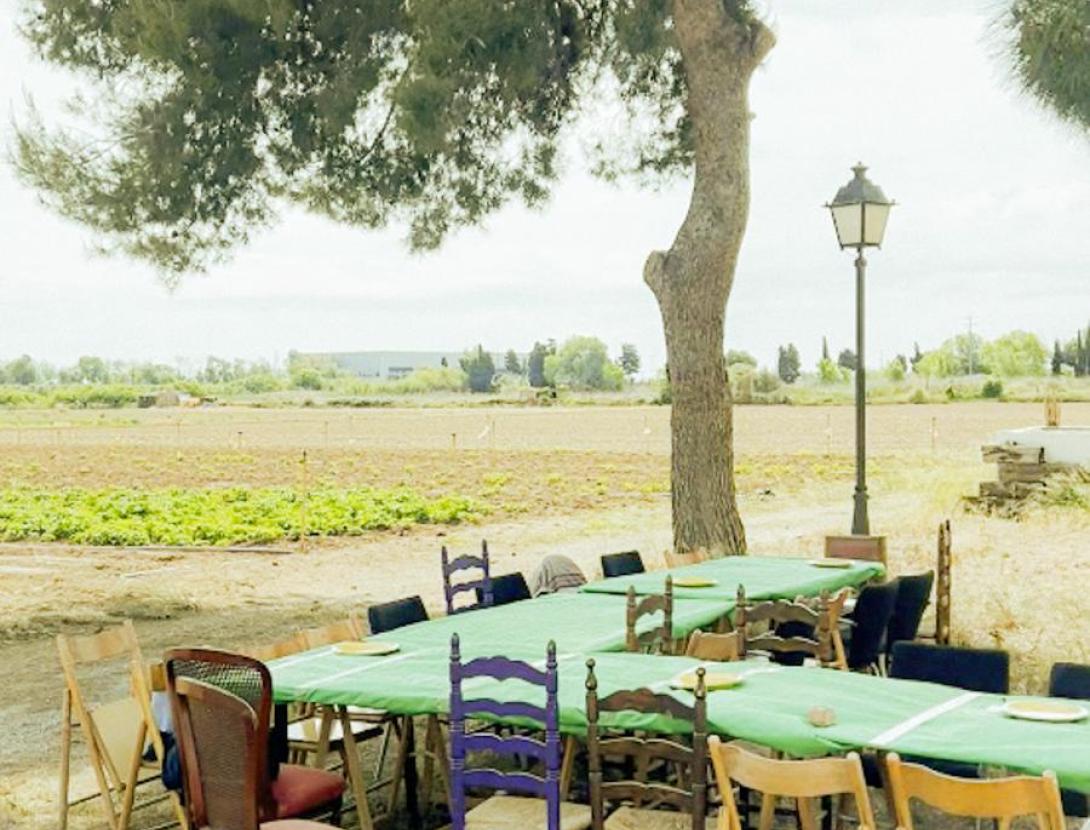 Dia de camp i calçotada familiar! Terra i taula en harmonia